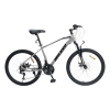 Thumbnail BICICLETA MILANO SAETA 20 SUS SWING PLATA0